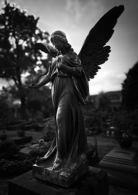 Angel Statue in Cemetery