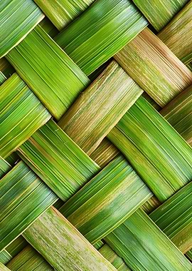 Woven Palm Leaf Texture ai