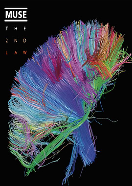 Muse - The 2nd Law Album Cover