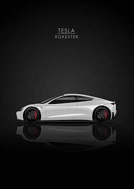 Tesla Roadster Side View