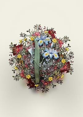 Floral Butterfly Iris Fimbriata Bouquet Illustration