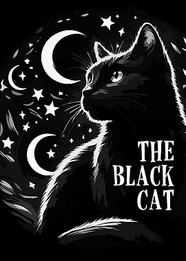Black Cat Night Sky