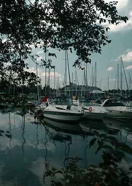 Boats Docked at Marina