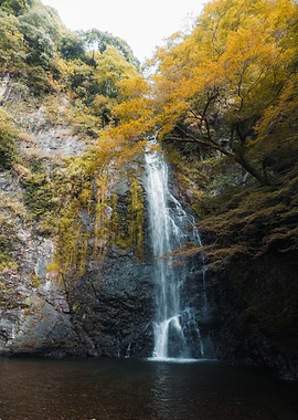 Waterfall in Autumn Forest