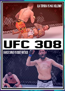 UFC 308 Fight Poster