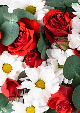 Red Roses and White Daisies