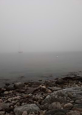 Foggy Seascape