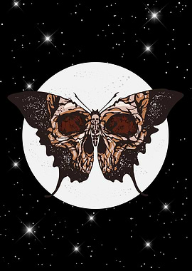 Death's Head Moth