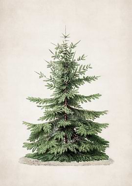 Vintage Christmas Pine Tree