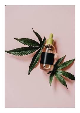 CBD Oil Bottle with Cannabis Leaves