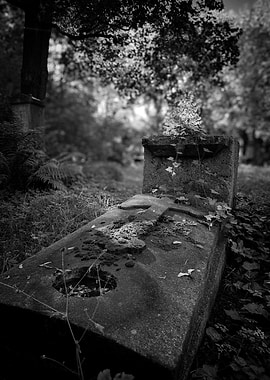 Gravestone in a Cemetery