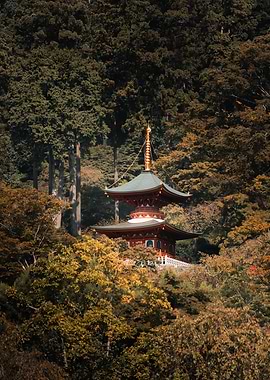 Japanese Pagoda in Forest