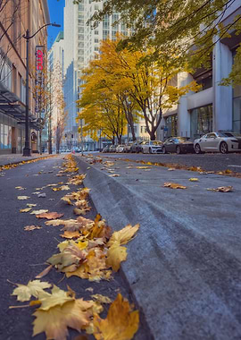 Autumn City Street