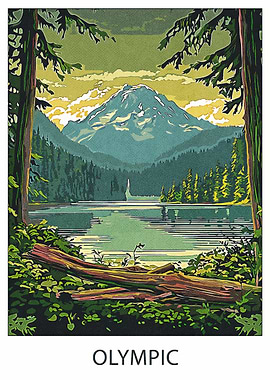 Olympic Mountain View