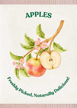 Apples Watercolor Illustration