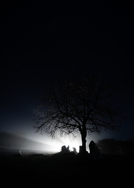 Illuminated Solitude