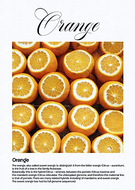 Orange Fruit Close-Up