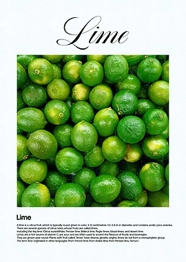 Lime Fruit Close-Up