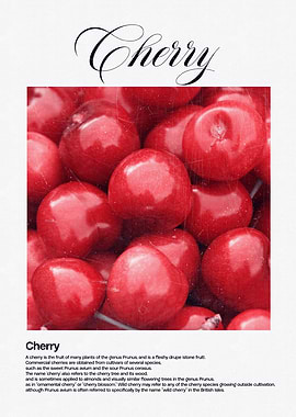 Red Cherries Close-Up