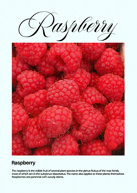 Close-up of Raspberries