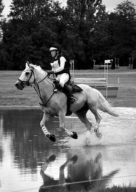 Horse Jumping Water Obstacle