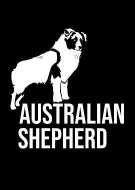 Australian Shepherd Aussie