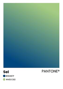 Pantone Color Swatch