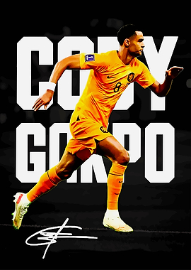 Cody Gakpo Netherlands Team