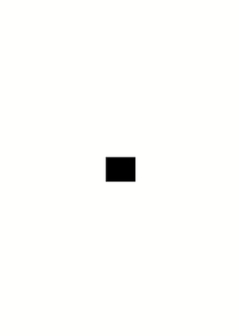Black Square on White