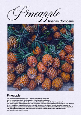 Pineapple Fruit Close-Up