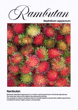 Rambutan Fruit Close-Up