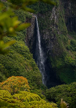 'Trou de fer' Waterfall in Réunion Island