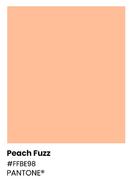 Pantone Peach Fuzz Color