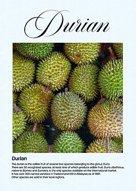 Durian Fruit Close-Up
