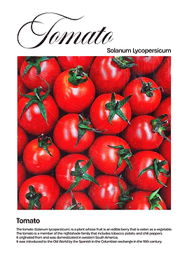 Tomato Close-Up