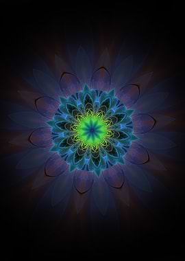 Jewelled Chrysanthemum