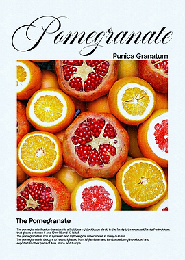 Pomegranate Fruit