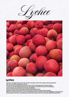 Lychee Fruit Close-Up