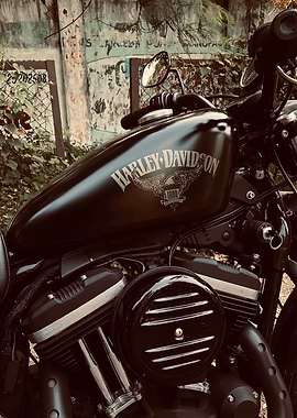 Harley-Davidson Motorcycle