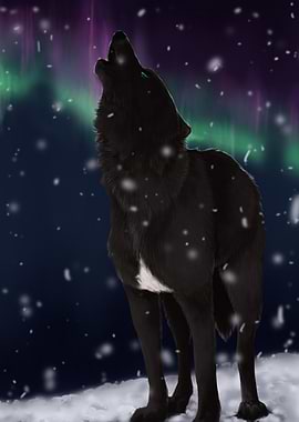 Black Wolf Howling at Aurora Borealis