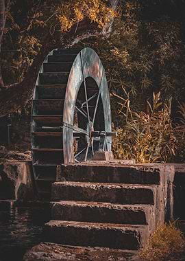 Water Wheel in Forest