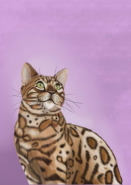 Bengal Cat Portrait