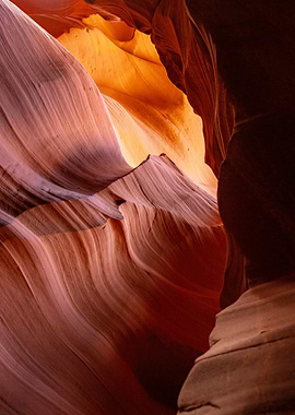 The beauty of nature arizona