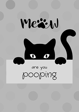 Cat Pooping Meme