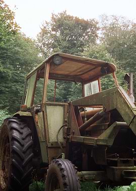 Old Tractor in Forest