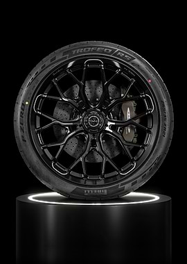 Pirelli P Zero Trofeo RS Tire