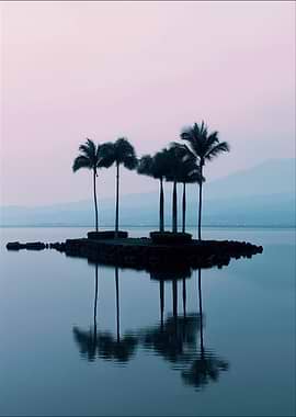 Tranquil Palm Island