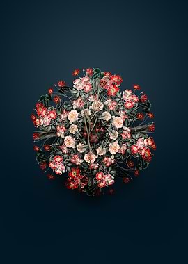 Siberian Solomons Seal Floral Mandala on Blue