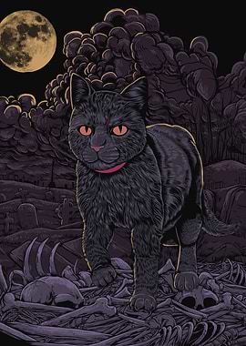 Black Cat in Graveyard