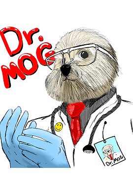 Dr. Mog the Dog Doctor